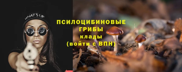 бошки Каменка