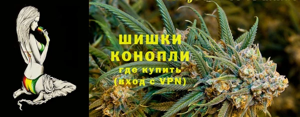 бошки Каменка