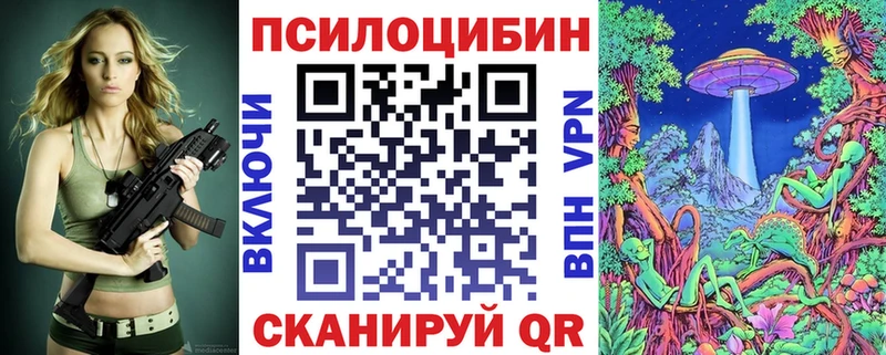 Псилоцибиновые грибы Cubensis  Купить  Пенза 